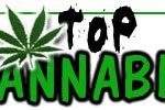 Top Cannabis Annuaire