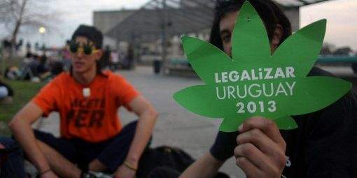 Uruguay légalisation Cannabis 2013