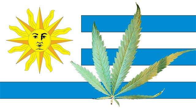 L'Uruguay est le premier pays au monde à légaliser le cannabis